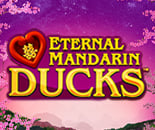 Eternal Mandarin Ducks